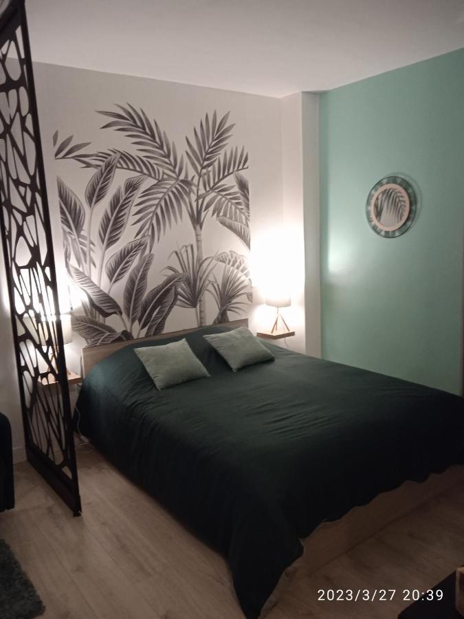 Apartment Plein Centre Face Au Lac, Cave Velo *